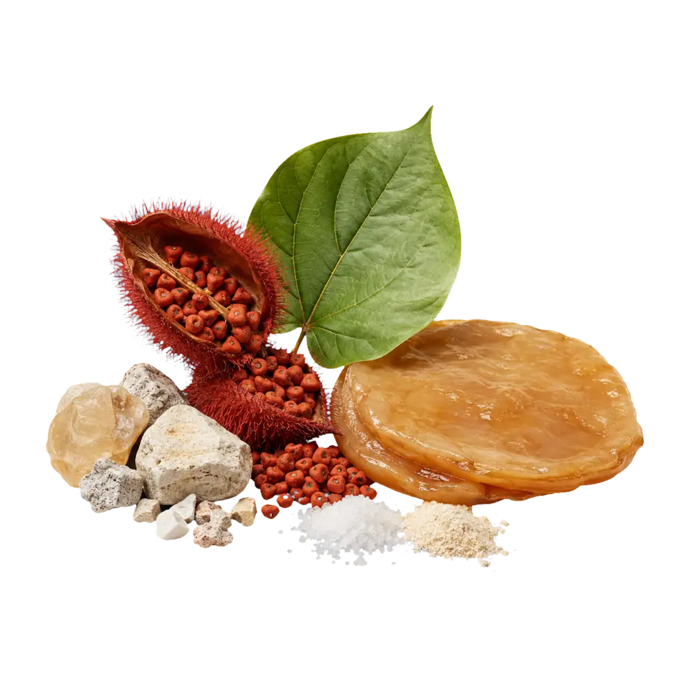 Bixa orellana e ingredienti fermentati del percorso Balance