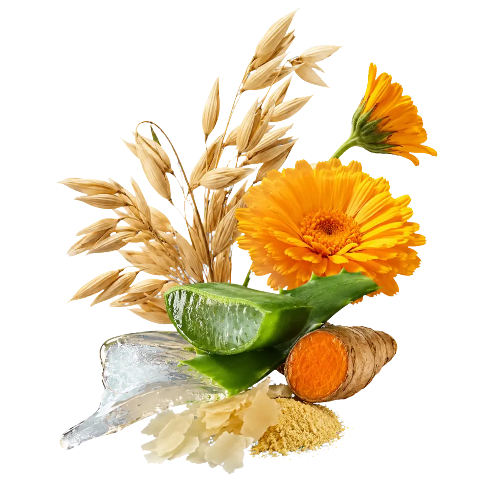 Avena, calendula, aloe e curcuma del percorso Longevity