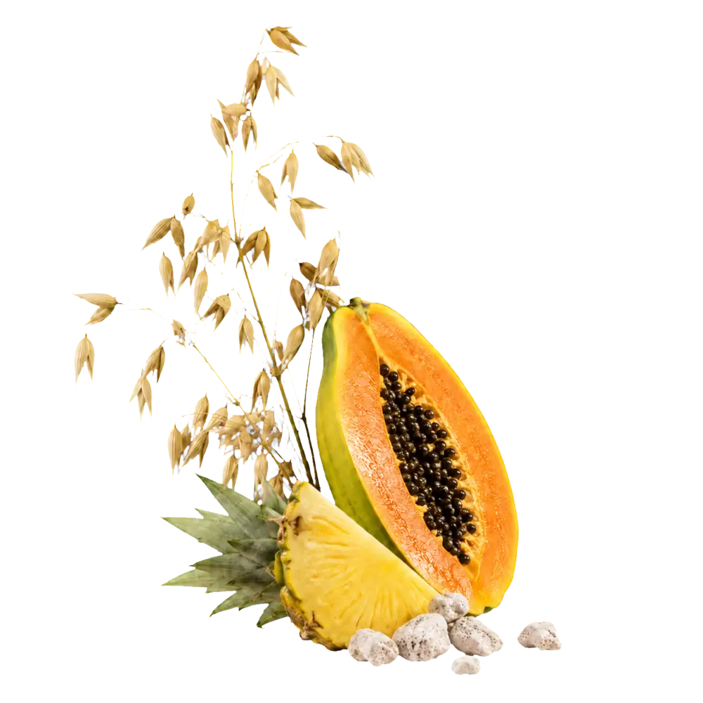 Avena, ananas e papaya del percorso Skin Reset